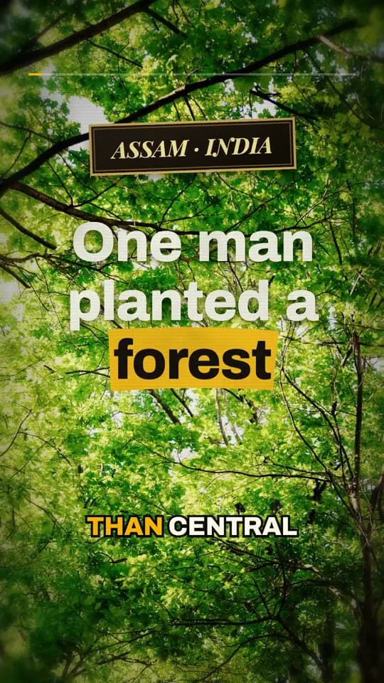 Hook: One man planted a forest bigger than Central Park.