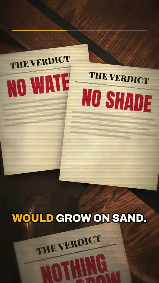 Rejection: He was told nothing would grow on sand.