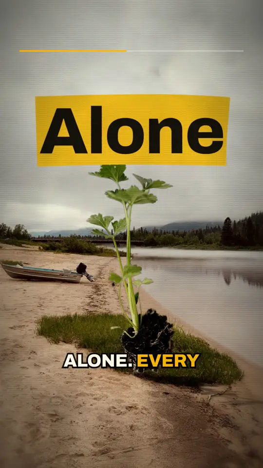 The choice: So he decided to plant trees. Alone.