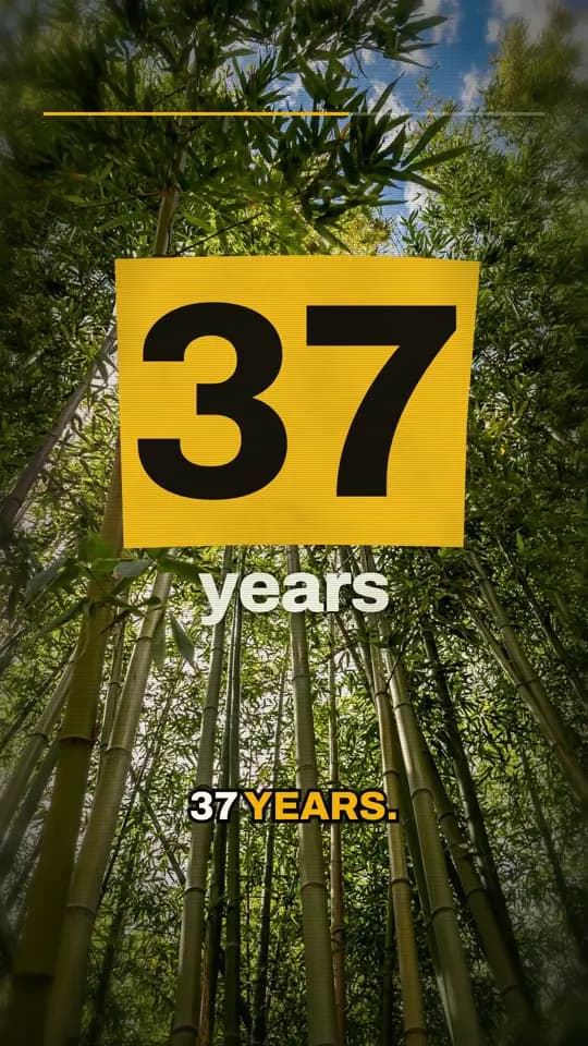 The years: He kept going for 37 years.